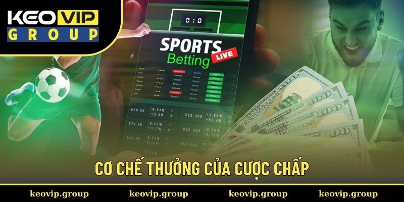 Kèo Châu Á Và Những Lý Giải Chi Tiết Cho Newbie Từ Keovip 2 Cơ chế thưởng của cược chấp