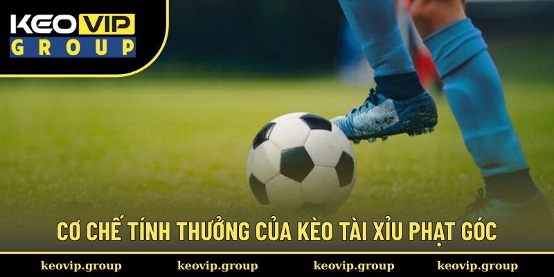 Cơ chế tính thưởng của kèo tài xỉu phạt góc