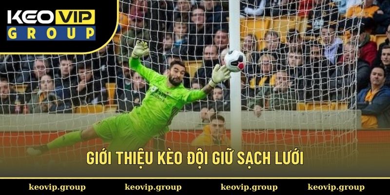 Giới thiệu về kèo đội giữ sách lưới 2025