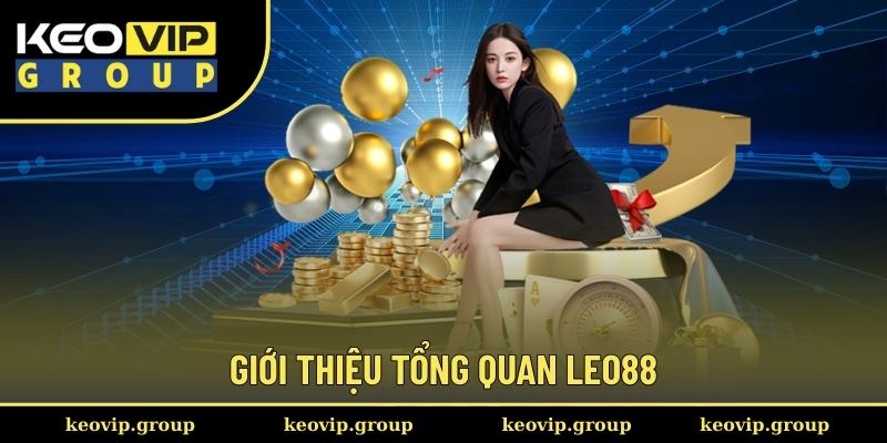Giới thiệu tổng quan LEO88