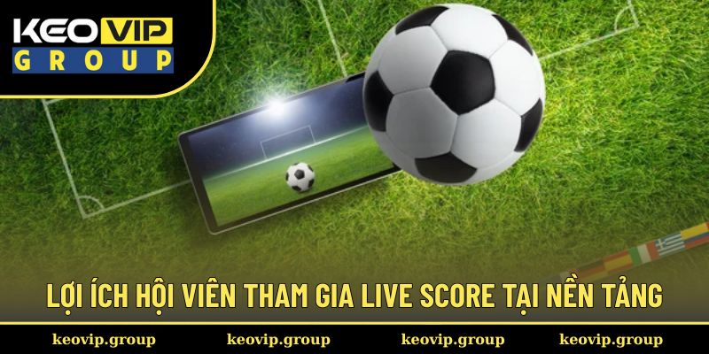 Lợi ích hội viên tham gia live score tại nền tảng