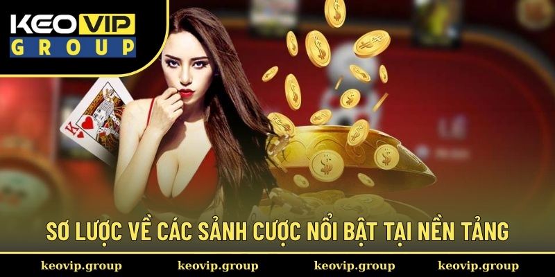 Sơ lược về các sảnh cược nổi bật tại nền tảng