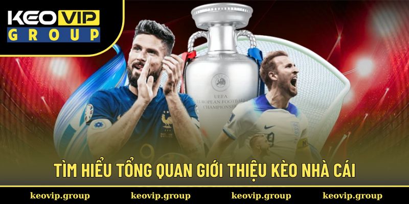 Giới Thiệu Kèo Nhà Cái 1 Tìm hiểu tổng quan giới thiệu kèo nhà cái