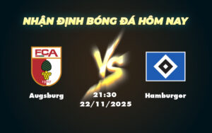 augsburg hamburger 22 11 bundesliga