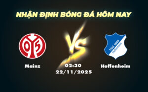 mainz hoffenheim 22 11 bundesliga