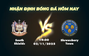 south shields shrewsbury town 02 11 cup fa