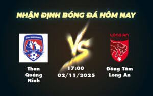 than quang ninh dong tam long an 02 11 hang nhat viet nam