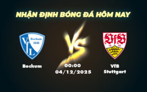 bochum vfb stuttgart 04 12 cup quoc gia duc