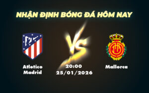 atletico madrid mallorca 25 01 la liga