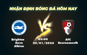brighton hove albion afc bournemouth 20 01 ngoai hang anh