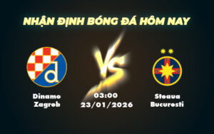 dinamo zagreb steaua bucuresti 23 01 c2