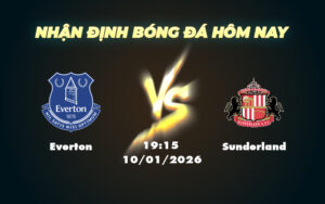 everton sunderland 10 01 cup fa