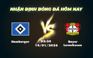 hamburger bayer leverkusen 14 01 bundesliga