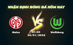 mainz wolfsburg 24 01 bundesliga