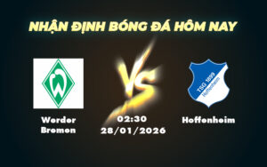 werder bremen hoffenheim 28 01 bundesliga