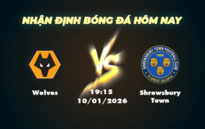 wolves shrewsbury town 10 01 cup fa