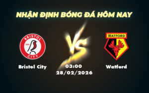 bristol city watford 28 02 hang nhat anh