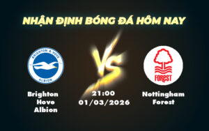 brighton hove albion nottingham forest 01 03 ngoai hang anh