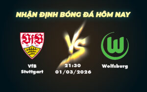 vfb stuttgart wolfsburg 01 03 bundesliga