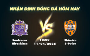 sanfrecce hiroshima shimizu s pulse 11 04 vdqg nhat ban